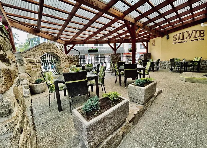 Guest house Silvie 3*